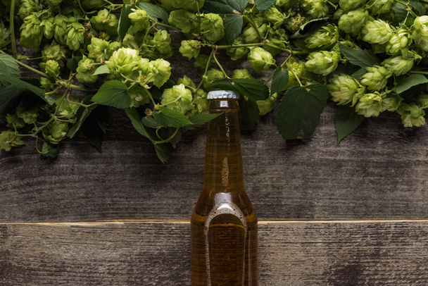 vista dall'alto di birra vicino a luppolo verde su sfondo di legno
 - Foto, immagini