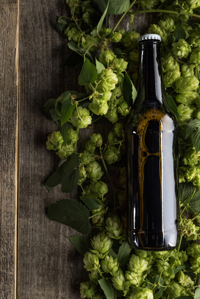 top view of beer in brown bottle on green hop on wooden background - Zdjęcie, obraz
