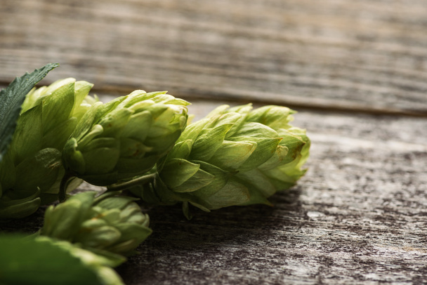 close up view of green hop on wooden table - Photo, Image