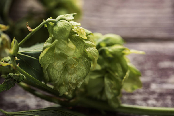 close up view of green hop on wooden table - Fotoğraf, Görsel