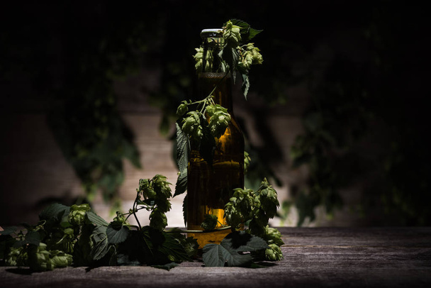 bier in fles en groene hop op houten tafel in duisternis met terug licht - Foto, afbeelding