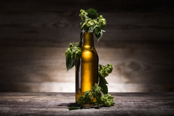 sör palackban friss hop fa asztal sötétségben hátfény - Fotó, kép