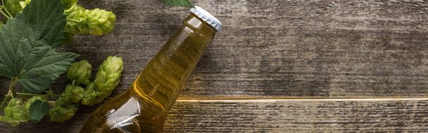vista superior de la cerveza en botella con lúpulo verde sobre fondo de madera, plano panorámico
 - Foto, imagen