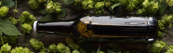 felülnézet a friss sör barna palackban zöld hop fa háttér, panoráma lövés - Fotó, kép