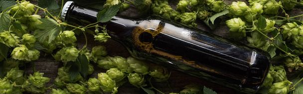 vista superior de cerveja em garrafa marrom perto de salto verde em fundo de madeira, tiro panorâmico
 - Foto, Imagem