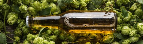 top view of beer in bottle on green hop on wooden background, panoramic shot - Photo, Image