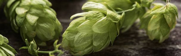 close up view of fresh green hop on wooden table, panoramic shot - Фото, зображення