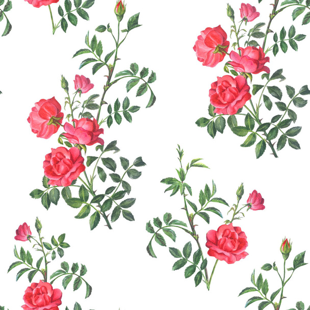 Realistic watercolor botanical illustration. Roses pattern - Photo, Image