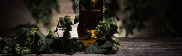 birra in bottiglia con green hop sul tavolo in legno al buio con retroilluminazione, scatto panoramico
 - Foto, immagini