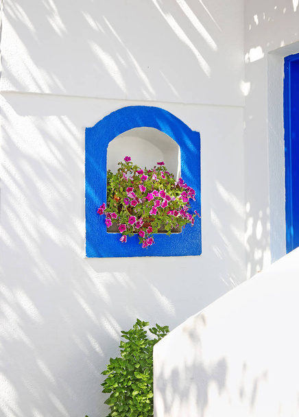 blühende Blumen an weißer Wand mit blauen Details koufonisia Inseln Kykladen Griechenland - Foto, Bild