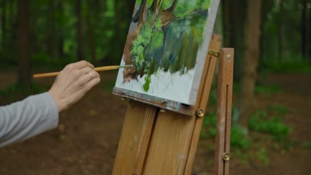 die Mädchenhand streicht ein paar Striche über die Landschaftszeichnungen im Wald - Filmmaterial, Video