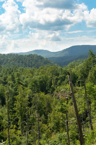 Bekijk boven het Smoky Mountains-landschap langs de paden.   - Foto, afbeelding