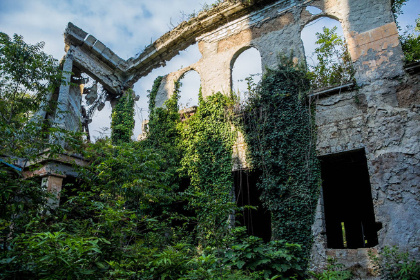 Overgrown ruins of abandoned mansion, Abkhazia - Photo, image
