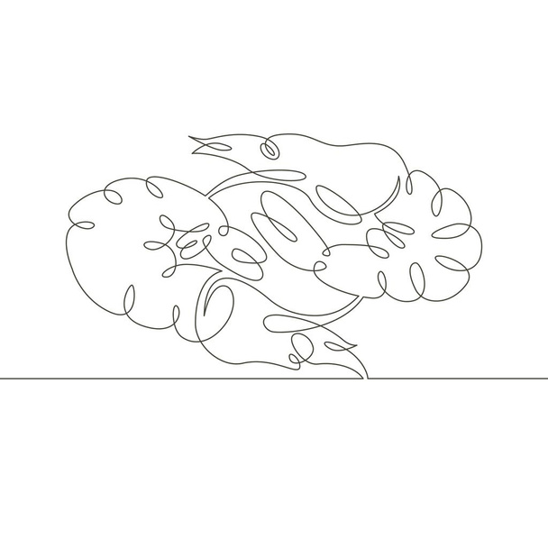 línea dibujada única continua garabato dos langostinos tigre cocidos
 - Vector, Imagen