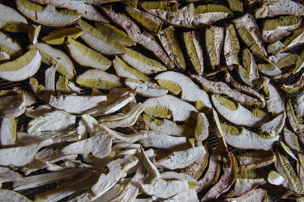 Многие большие свиные грибы высохли у костра в старом деревянном доме пастухов в горах
 - Фото, изображение