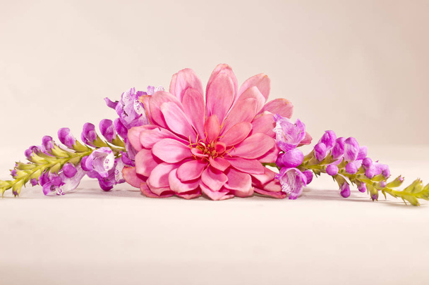 Квіткова композиція з рожевою цинією та фіолетовою м'ятою на рожевому фоні
 - Фото, зображення