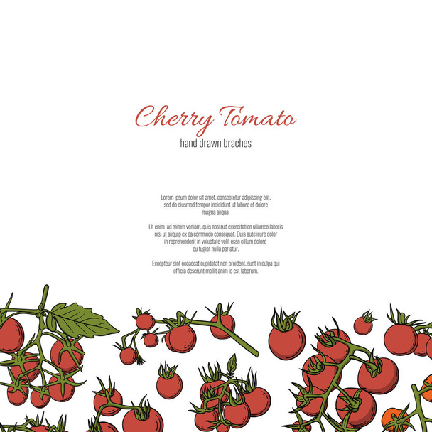 Cherry tomato branches hand drawn cartoon doodle style page template. - Vektor, Bild