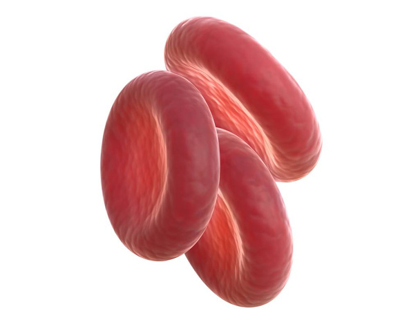 3D απόδοση των ερυθρών αιμοσφαιρίων απομονώνονται σε λευκό. - Φωτογραφία, εικόνα