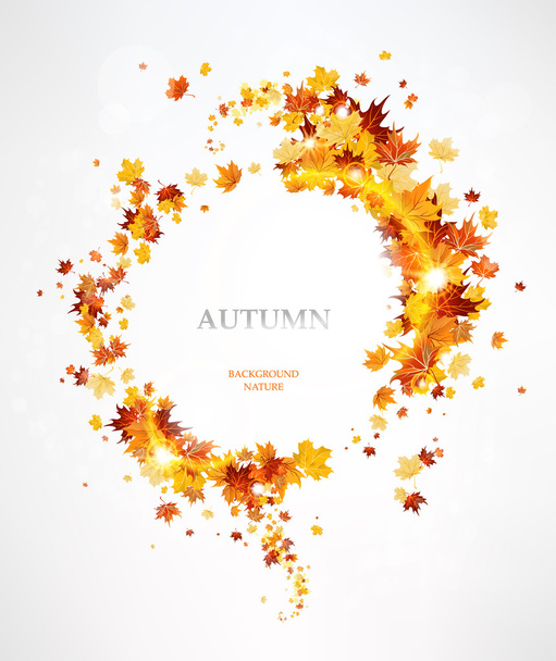 Frame with the beautiful autumn leaves - Vektör, Görsel