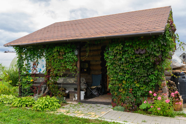 Μικρό παλιό καλοκαιρινό σπίτι στο οποίο τοίχος το φυτό μέχρι την οροφή μεγαλώνει. - Φωτογραφία, εικόνα