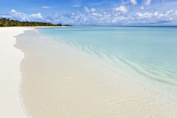 Tropical white sand beach - Zdjęcie, obraz