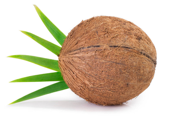 Verse kokosnoot op witte achtergrond - Foto, afbeelding