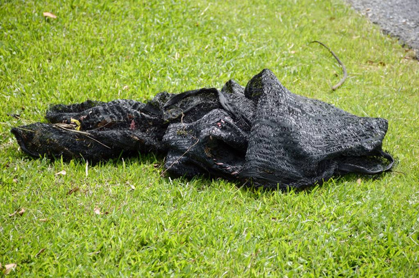 Schwarzes Schattennetz auf grünem Gras - Foto, Bild