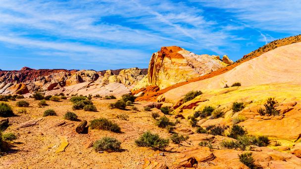 Les formations rocheuses baguées rouges, jaunes et blanches colorées le long du sentier des vagues de feu dans le parc national de la vallée du feu au Nevada, États-Unis
 - Photo, image
