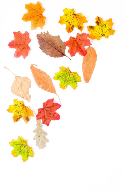 осенний фон с тыквами и листьями - Фото, изображение