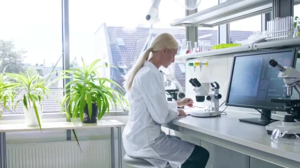 Scientist working in lab. Doctors making medical research. Laboratory tools: microscope, test tubes, equipment. Biotechnology, chemistry, science, experiments and healthcare concept. - Footage, Video