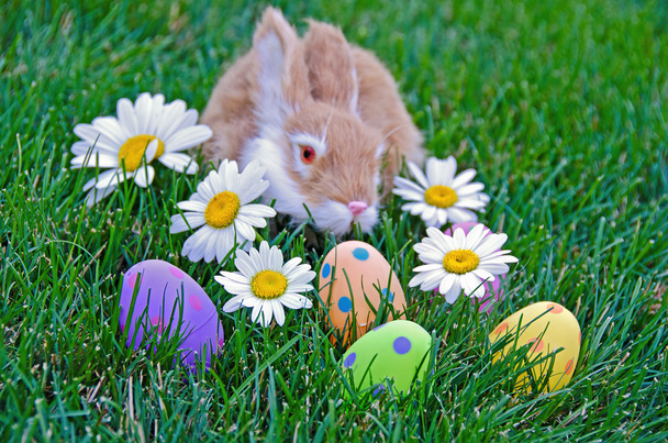 zajíček s velikonoční vajíčka - Fotografie, Obrázek