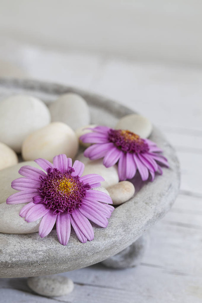 Zen Flower Still Life With Pebble - Photo, image