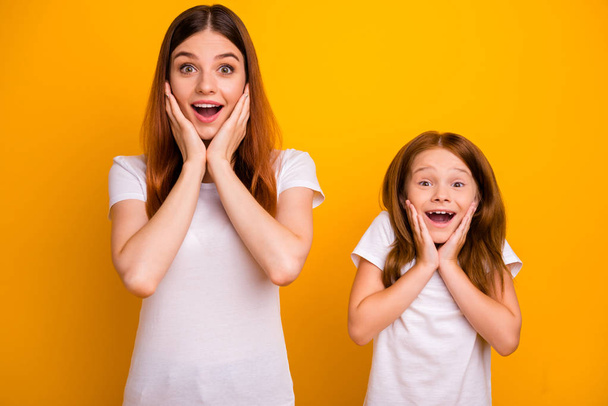 Portrait of astonished funny ladies with long hairdo screaming wow omg touching their face isolated over yellow background - Foto, afbeelding
