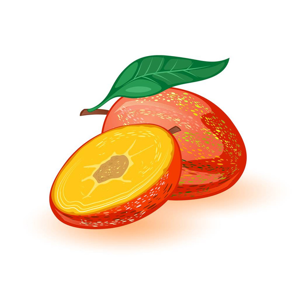 Tatlı olgun mango bütün ve yarım. Yaprak ile tropikal egzotik taş meyve. - Vektör, Görsel