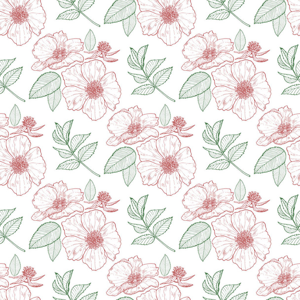 Fondo floral sin costuras con rosas silvestres y hojas sobre el fondo blanco. Textura sin fin para el diseño
. - Vector, imagen