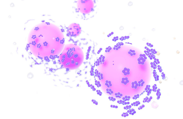 Lidský papilomavirus (HPV) infekce, konceptuální vyobrazení, lékařská  - Fotografie, Obrázek