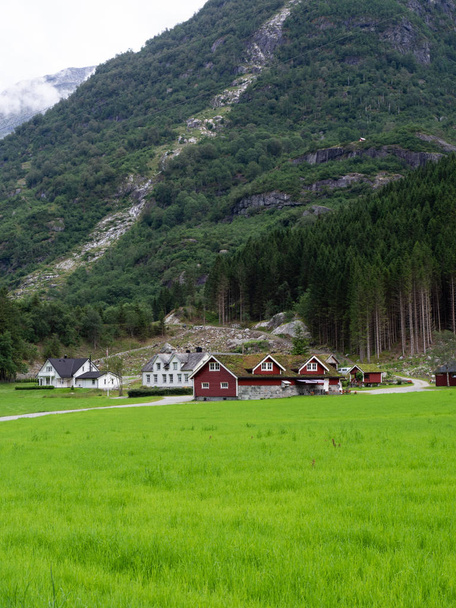Traditional red wooden houses and grass on the roof. Houses and farms in a green valley near a big mountain. copy space - Foto, Imagem