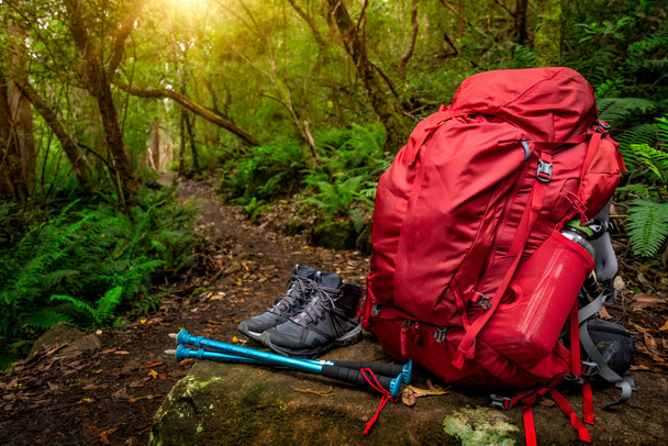 Hiking gear set in jungle of Tasmania, Australia. - Photo, Image