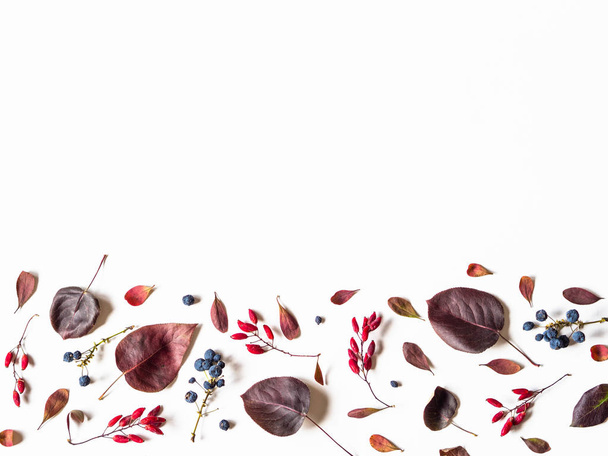 Различные ягоды и листья диких деревьев на белом фоне и открытое пространство для текста. Ботаническое прошлое. Вид сверху
 - Фото, изображение