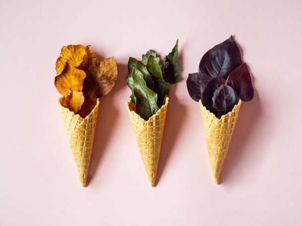 Automne plat laïc composition de trois cônes de crème glacée avec des feuilles de différentes couleurs sur un fond rose
 - Photo, image