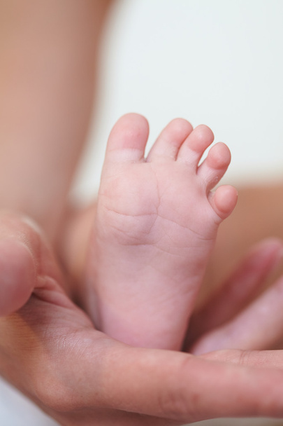 Baby's feet - Valokuva, kuva
