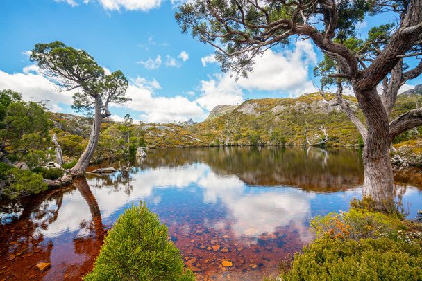 Krajobraz kołyski Góra Tasmania, Australia. - Zdjęcie, obraz