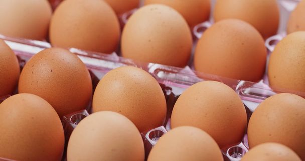 Pack of the chicken eggs  - Photo, Image