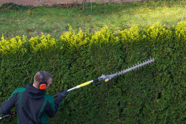 Tuinman snijdt een hedge  - Foto, afbeelding