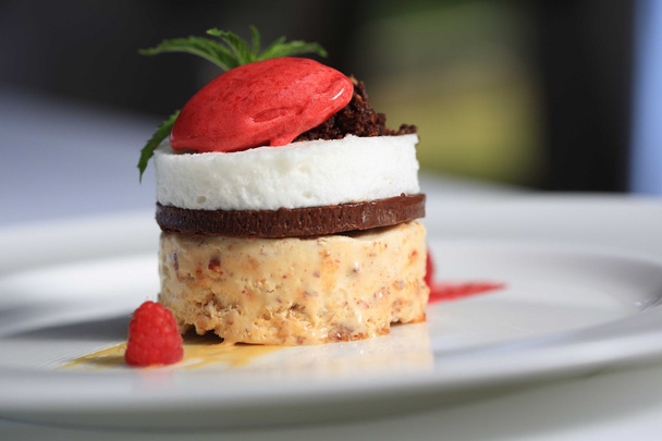 Малиновий торт на тарілці - вишуканий обідній десерт
 - Фото, зображення