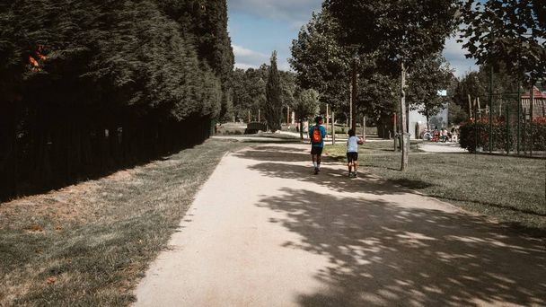 Beautiful horizontal shot of two kids walking in the park with a lot of trees on a sunny day - Fotografie, Obrázek