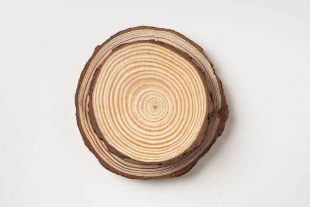 Dos piezas circulares de madera con anillos anuales aislados sobre fondo blanco
 - Foto, imagen