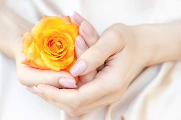 Las manos femeninas sostienen una rosa naranja en sus manos
. - Foto, Imagen