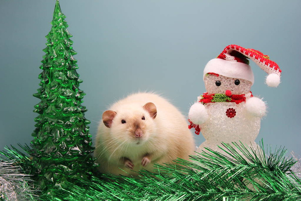 Un rat est un symbole de la nouvelle année 2020 près d'un jouet sapin de Noël et un bonhomme de neige parmi tinsel
. - Photo, image