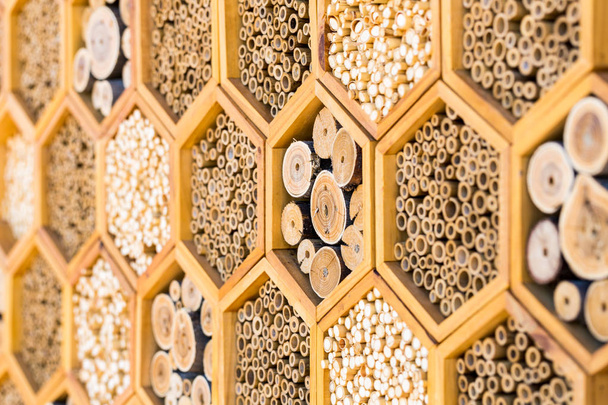 Padrões geométricos habitats de hotéis de abelhas com tubos ocos
 - Foto, Imagem